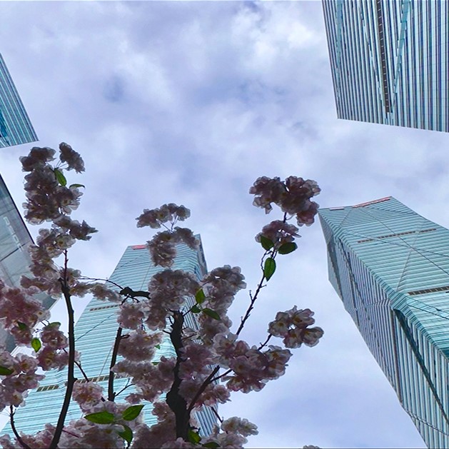 大灣區是中國經濟的引擎 了解更多