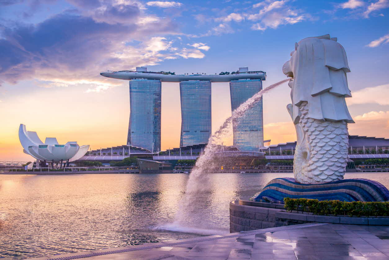 leverage Singapore's advantage and set up companies in Singapore 