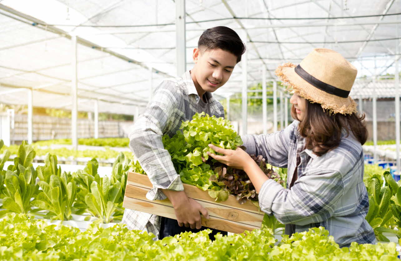 What is a social enterprise