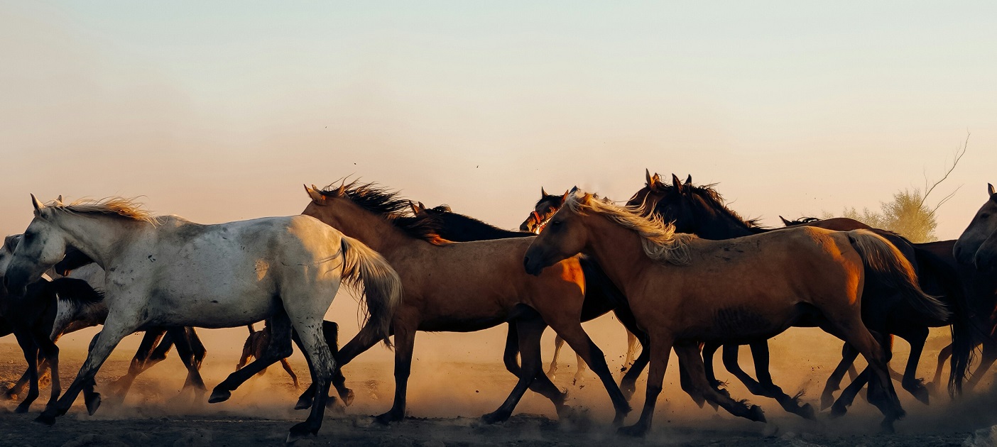 CIO Insights 4Q25: – Ride the Trend