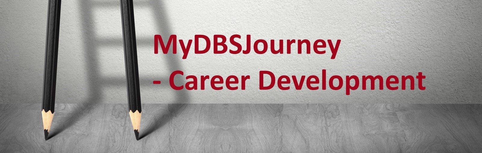 MyDBSJournet - Career Development