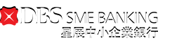 DBS SME
