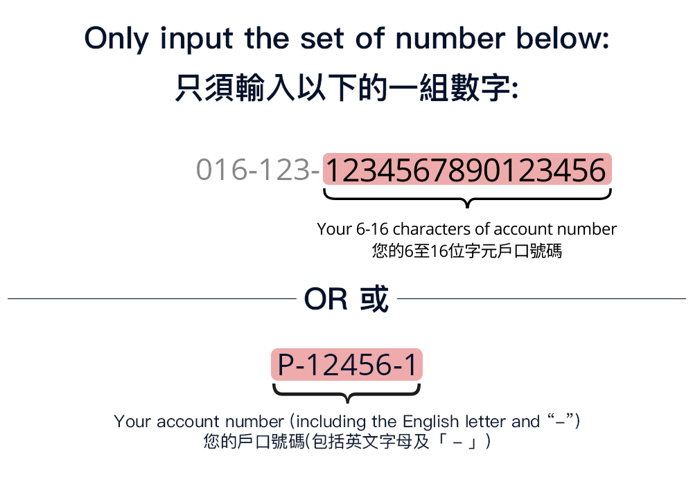 account number input tool tip