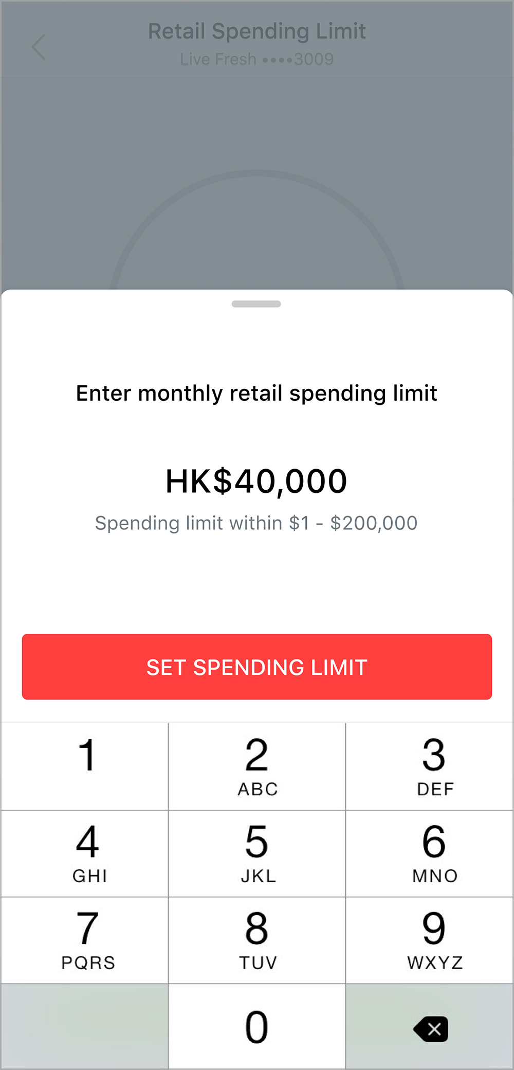 Input your preferred spending limit and tap on “Set Spending Limit”