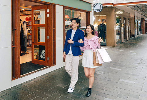 DBS x Hang Lung Malls offer